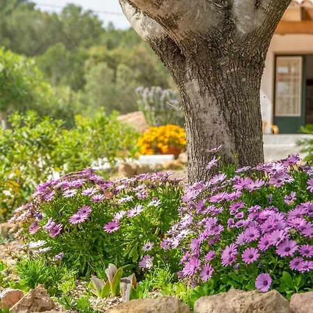 Casa Dina-villa Con Piscina Privada Y Wifi Gratis וילה אס מרקדל