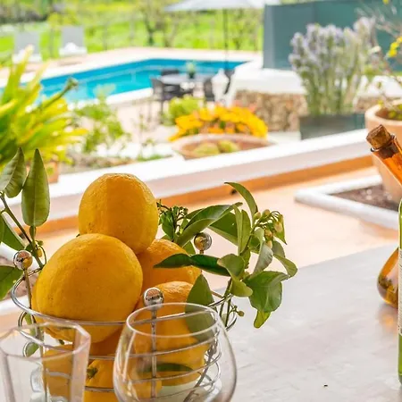 Casa Dina-villa Con Piscina Privada Y Wifi Gratis 别墅