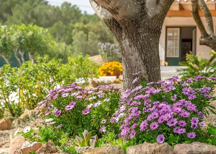 Casa Dina-villa Con Piscina Privada Y Wifi Gratis וילה אס מרקדל